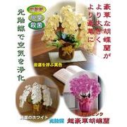 �����ؔ� ���G�}�Ӓ����@�z���C�g