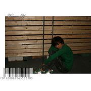�g���������^�C�v�̑O�v�����g�J�W���A��T�V���c�@2010�@�t�@�V��