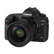 EOS 5D Mark II EF24-105L IS U�����Y�L�b�g �L���m���@�f�W�^����჌�t�J����