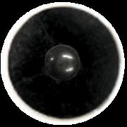 ���ق̓d�ʍ��ƃ`�^���p���[�ŃR��������NEW�@�C�I�T���r�@BLACK �@10��+100��