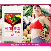 �ɐ�-�y�f �G���U�C���V�X�e�� �o�h�m�j