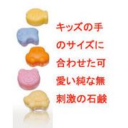 ���R���琶�܂ꂽ���e�Ό��������ȃL�b�Y���e�Ό��Z�b�g����38g�~5��