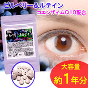 �y��1�N���z�r���x���[�����e�C��(�p�P�O�z���j
