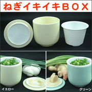 �˂��C�L�C�LBOX