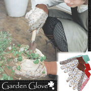 �K�[�f���O���[�u/GARDEN GLOVE�i6pcs�j
