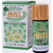 �N�������W��AHSS�@�V�O��