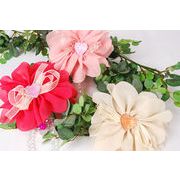 BIGflower�`���[��