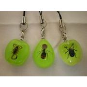 �L���������I�{���̍�������X�g���b�v