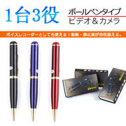 �y���^�J�����z�y���^�r�f�I�J�����@16GB�̑�e�ʁ@USB�ڑ�