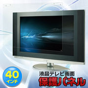 40�C���`�p�t���e���r��ʕی�p�l�� FJK-ETV40