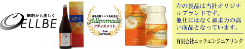�L����� �j�b�`�G���W�j�A�����O