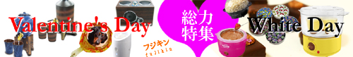 株式会社フジキン