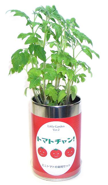 トマトちゃん リトルガーデンVer．2 トマトチャン 栽培セット 栽培キット
