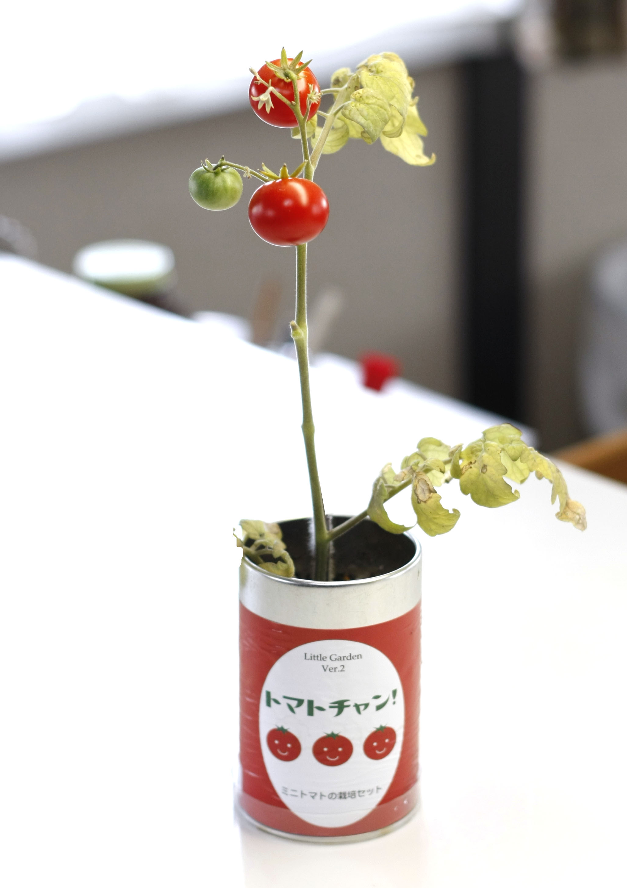 トマトちゃん リトルガーデンVer．2 トマトチャン | 卸売・ 問屋・仕入れ