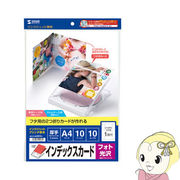 JP-INDGK2N サンワサプライ フォト光沢CD・DVDケースカード（見開き）