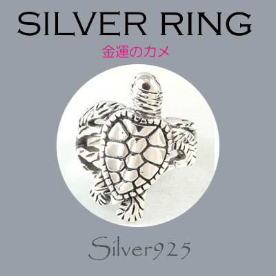 リング-10 / 1-1685 ◆ Silver925 シルバー リング  かめ