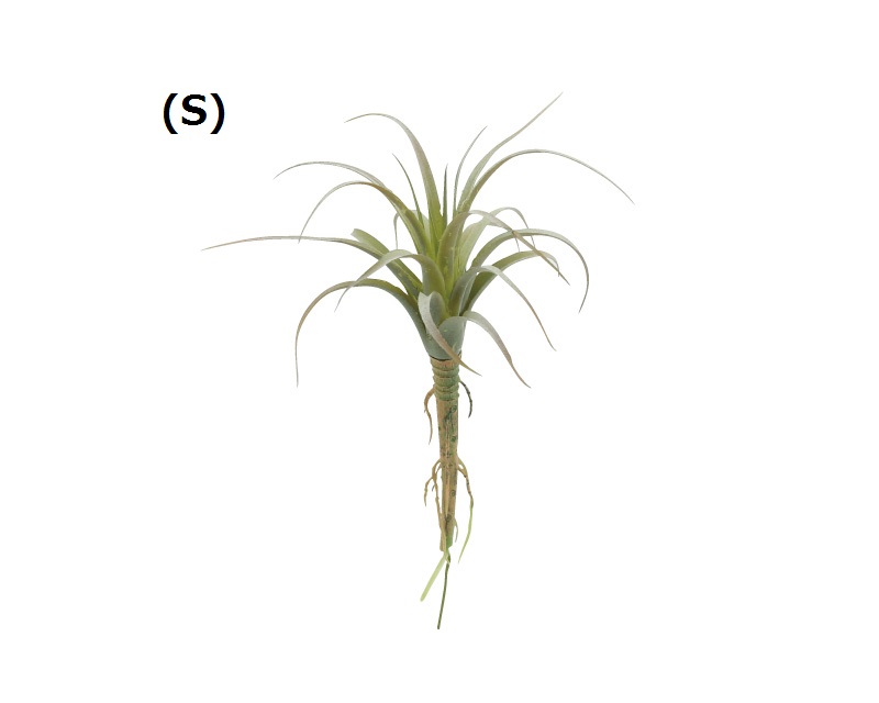 フェイクプランツ エアプランツ 雑貨 株式会社 ナノプラン 問屋 仕入れ 卸 卸売の専門 仕入れならnetsea