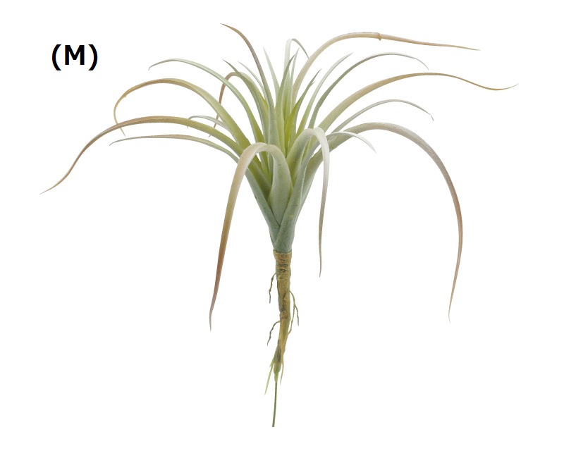 フェイクプランツ エアプランツ 雑貨 株式会社 ナノプラン 問屋 仕入れ 卸 卸売の専門 仕入れならnetsea