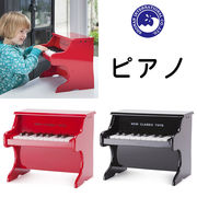 ■湘南インターナショナル■　ピアノ