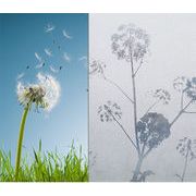 ★窓 ガラスフィルム★ガラスシール★目隠しフィルム★無接着剤水で貼れる 50M