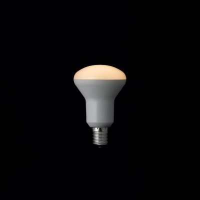 YAZAWA(ヤザワ）R50ミニレフ形LED電球 電球色 E17 非調光タイプ　LDR4LHE17