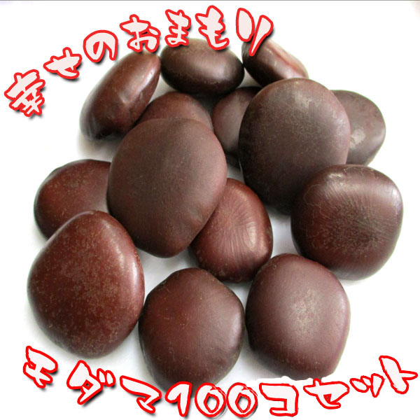 【ラッキービーンズ】モダマの豆１００個セット 世界一大きい豆 もだま 藻玉 幸運のお守り 縁結び 子宝