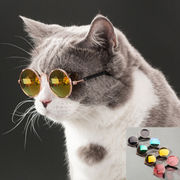 雑貨　ペット用品　犬　猫　アクセサリー　サングラス　メガネ　　カラフル