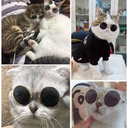 雑貨　ペット用品　猫　ペット用品　メガネ　サングラス　アクセサリー