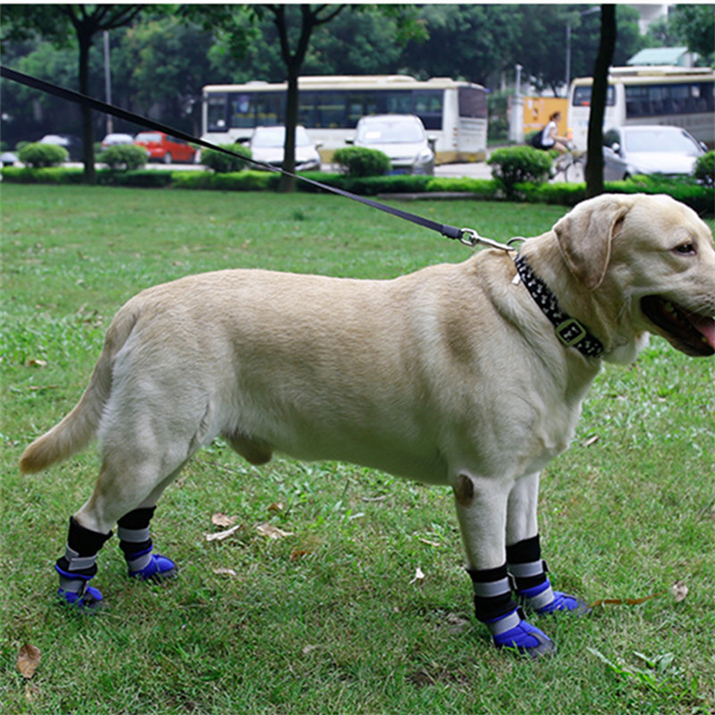 ペット用品 犬の靴 ペットシューズ 中 大型犬 犬靴 長靴 ペット雑貨 防寒 秋冬 暖かい 雑貨 Witm Kobe 問屋 仕入れ 卸 卸売の専門 仕入れならnetsea