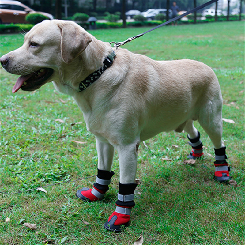 ペット用品 犬の靴 ペットシューズ 中 大型犬 犬靴 長靴 ペット雑貨 防寒 秋冬 暖かい 雑貨 Witm Kobe 問屋 仕入れ 卸 卸売の専門 仕入れならnetsea