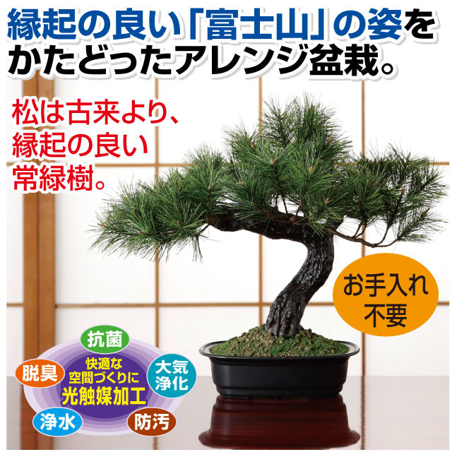 アレンジ盆栽 富士の松 インテリアグリーン フェイクグリーン