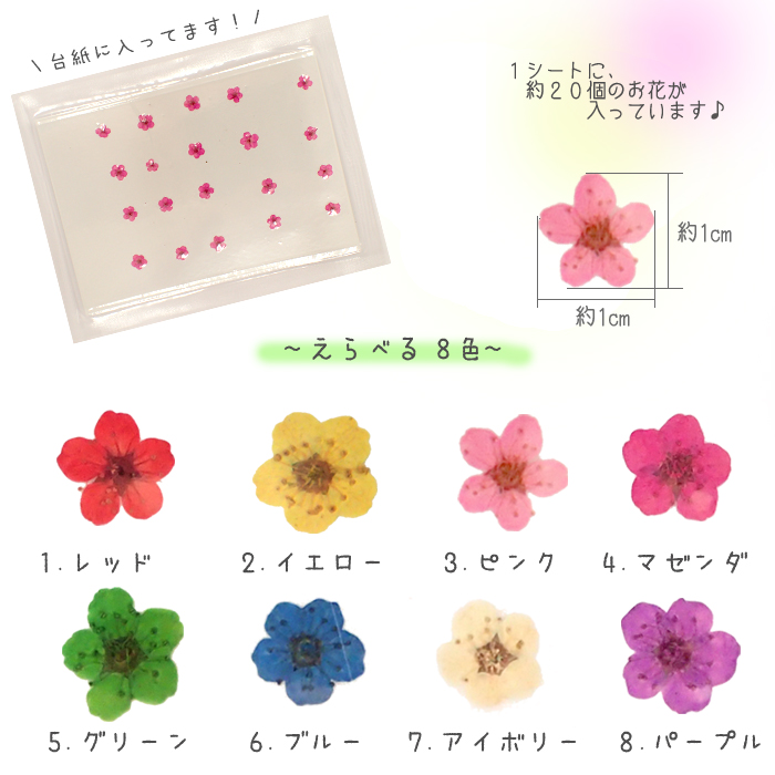 デコパーツ【49.押し花 コデマリ】 花 ドライフラワー ヴァーベナ