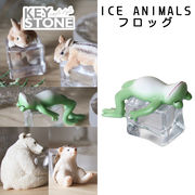 ■キーストーン■　ICE ANIMALS　フロッグ