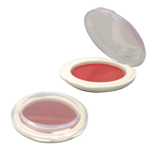 舞台屋 OSHIMON おしもん ポイントカラー リップ 口紅 マット系 1.8g 全21色 化粧品 コスメ プロメイク