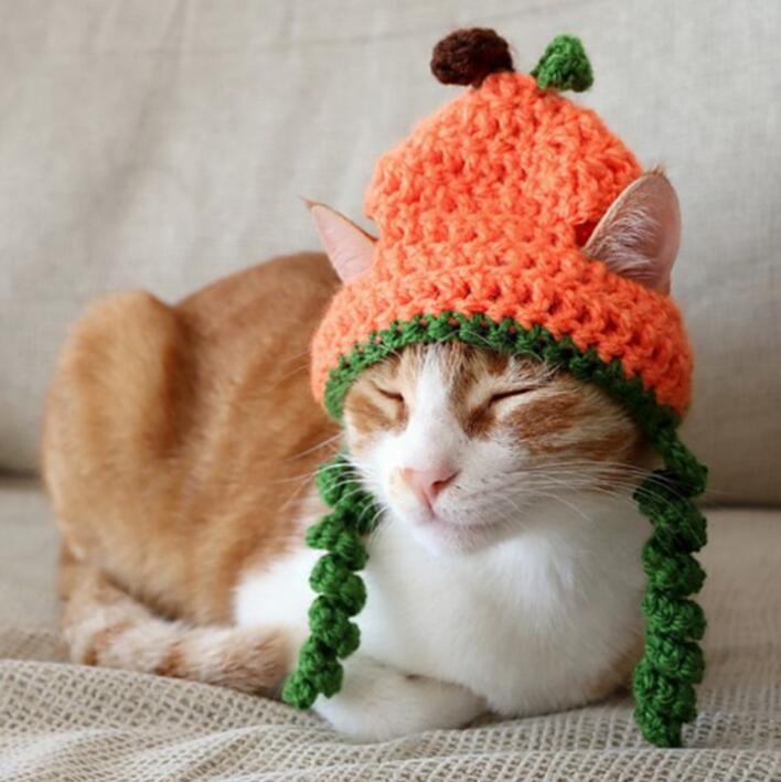 ペット用　猫用　ハロウィンの帽子