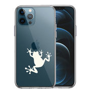 iPhone12 Pro 側面ソフト 背面ハード ハイブリッド クリア ケース カエル 蛙 ホワイト