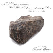 【一点物】 NWA石質隕石 モロッコ産 普通コンドライト L3-6