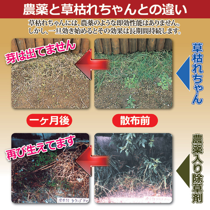 最新最全の 墓地や遊歩道 畳の路肩や目地にと 様々な場所で活躍します 除草剤 草枯れちゃん 5kg 4袋セット 無農薬 安全 肥料 薬品 Pokestgo Cl
