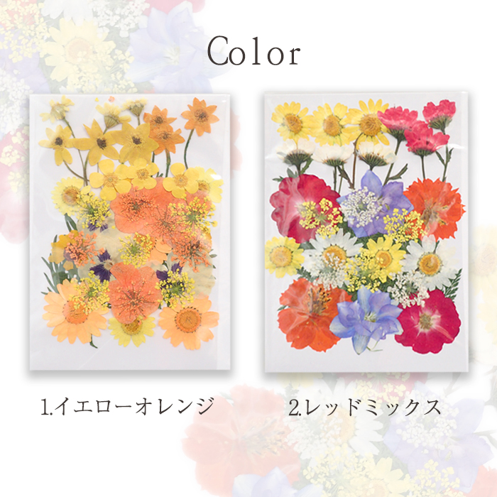 ドライオレンジ とり 15枚＋押し花