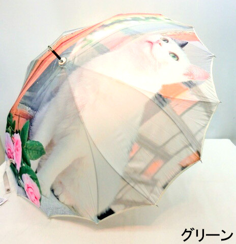 【雨傘】【長傘】窓辺のネコ柄一枚張オシャレなサンフラワー骨ジャンプ傘