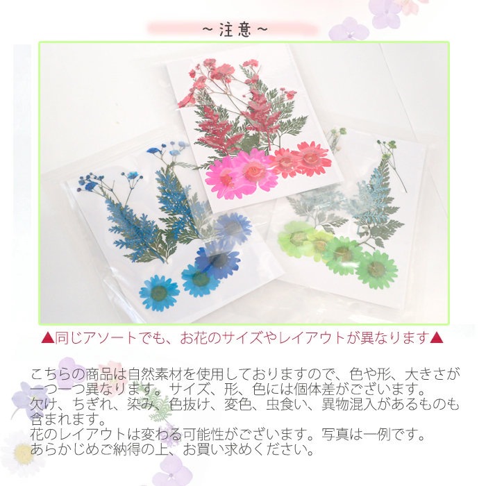 デコパーツ 73 押し花 カラーリーフmix 6色 花 ドライフラワー レジン 貼り絵 コラージュ 雑貨 パーツワールド Partsworld 問屋 仕入れ 卸 卸売の専門 仕入れならnetsea