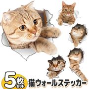シールタイプ猫ステッカー/超リアル/動物柄/全5種セット/壁からひょっこり顔を出す/とびだす猫DL