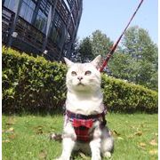 超可愛い  猫 ハーネス リード 猫用ハーネス メッシュ 通気性 散歩 お出かけ リード付き