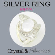 リング-10 / 1-119 ◆ Silver925 シルバー リング  ２頭 ヘビ 水晶