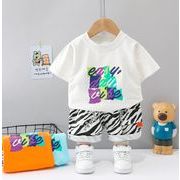 【2点セット】新作 子供服  ベビー服  アパレル   半袖   tシャツ +ショットパンツ 男の子 80-120cm