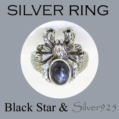 CSs / 1-1957 ◆ Silver925 シルバー リング スパイダー 蜘蛛 ブラックスター