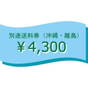 （10993）別途送料券（沖縄、離島）4300円