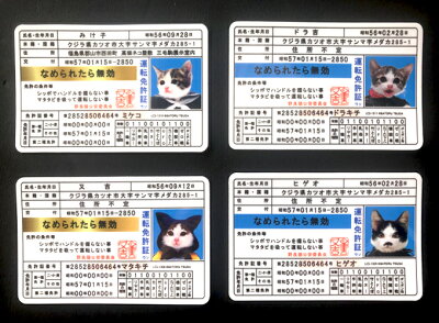 なめ猫 免許証04 みけ子 キャラクターステッカー 懐かし 80年代 なめ猫グッズ LCS1310 gs 公式 ステッカー 株式会社  ゼネラルステッカー 問屋・仕入れ・卸・卸売の専門【仕入れならNETSEA】