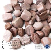 【日本銘石】さざれ　新潟チャート　〈新潟県〉　100g　パッケージ付き　時間を巻き戻す　再スタート　成功