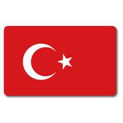SK247 国旗ステッカー トルコ TURKEY 100円国旗 旅行 スーツケース 車 PC スマホ